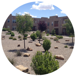 Skilled commercial landscaping, New Mexico